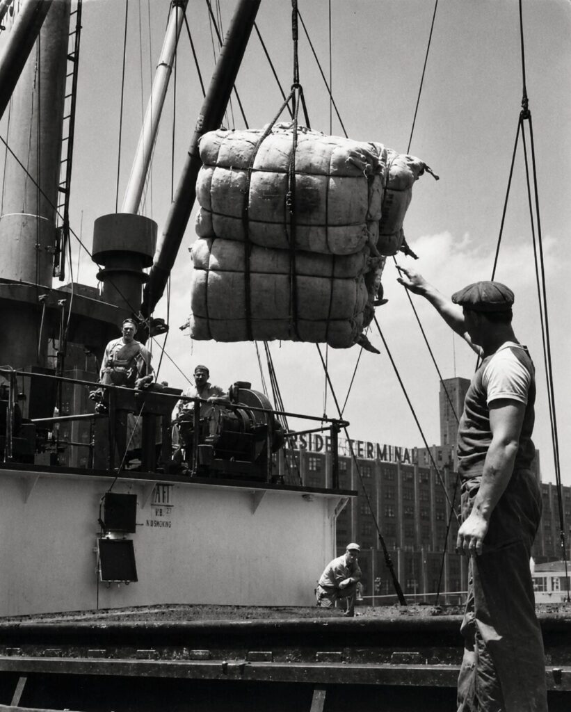 The Searchers Group - Michael Flanagan - people working in the port photo